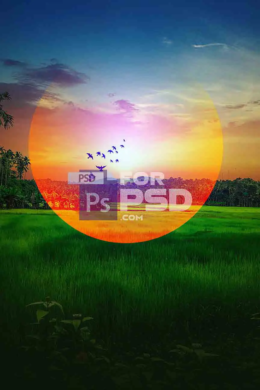 Image Preview